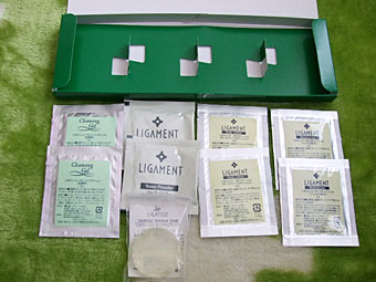 20120217b.jpg