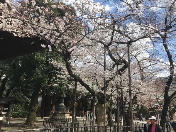 rblog-20180323224836-02.jpg