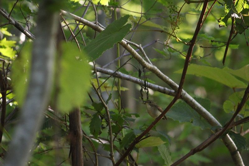 IMG_3057 (800x533).jpg