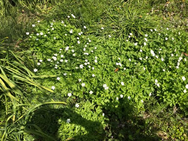 rblog-20180329182338-04.jpg