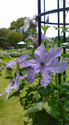 20120531124420.jpg