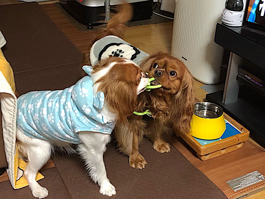 rblog-20190106225149-01.jpg