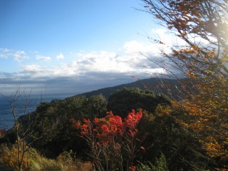 IMG_6746.jpg