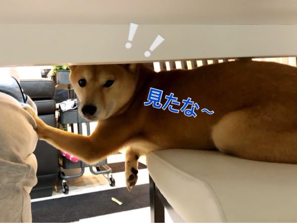 rblog-20171207090028-05.jpg