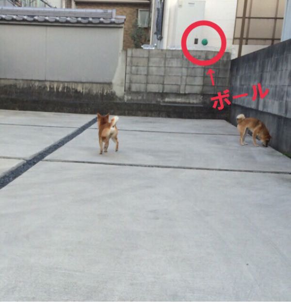 rblog-20160120161144-09.jpg