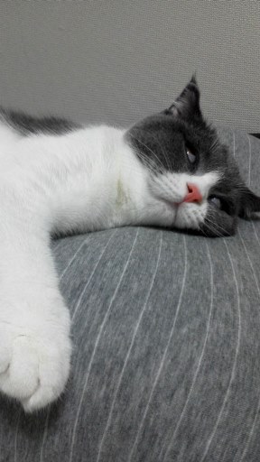 20140927105713.jpg