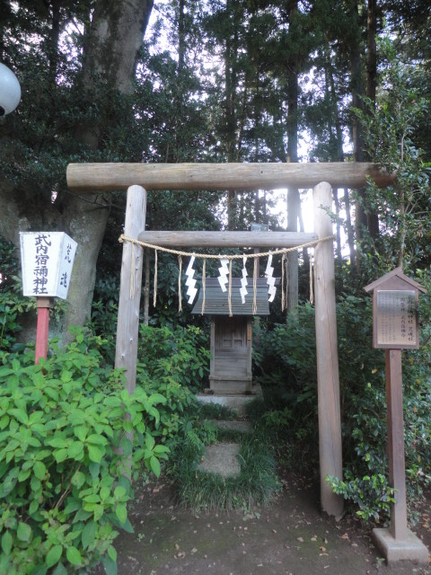 茨城
