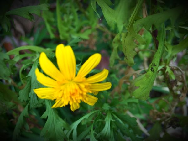 rblog-20151029140812-04.jpg