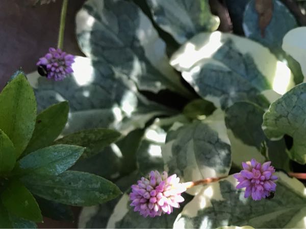 rblog-20181029111210-02.jpg