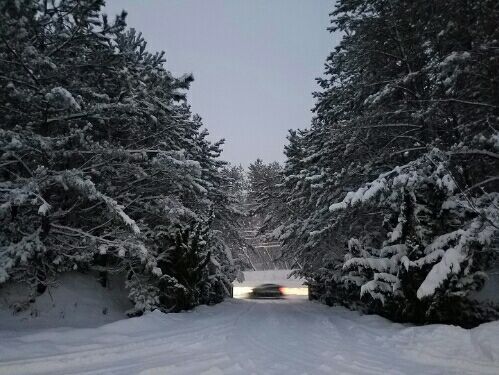 rblog-20170123231000-00.jpg