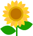 himawari01-004[1].png