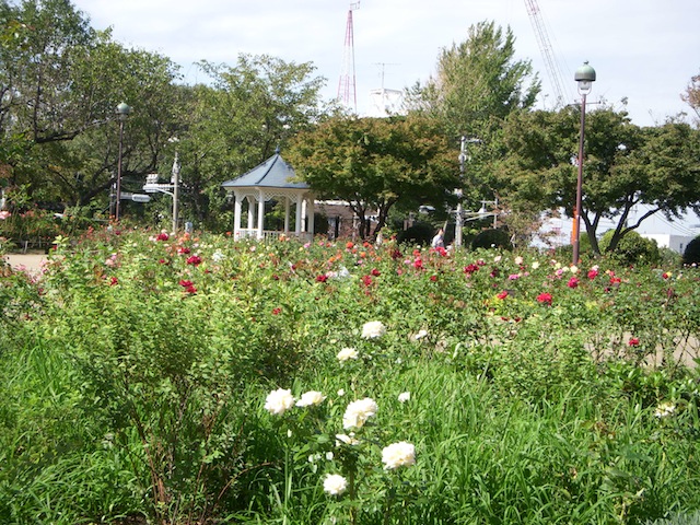 DSCN1618.JPG