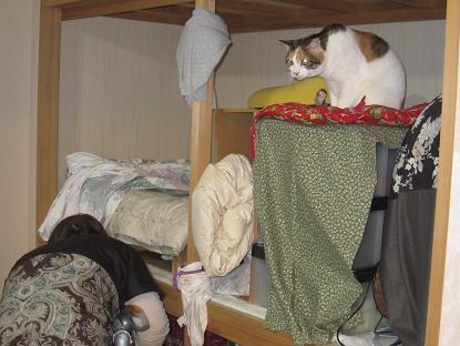 IMG_3112f.JPG