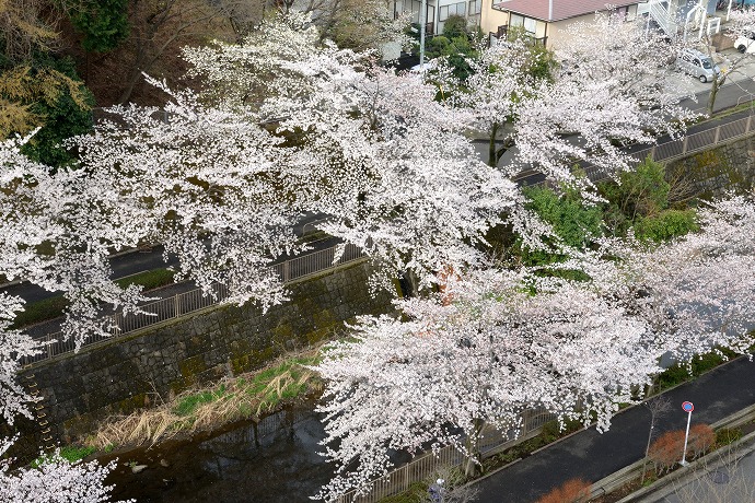 恩田川-02