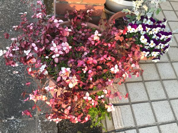 rblog-20180325184635-08.jpg