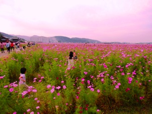 CIMG0577.JPG