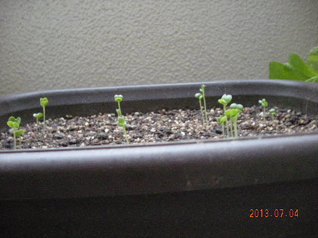 DSCN9331.JPG