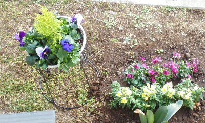 寄せ植え4.jpg