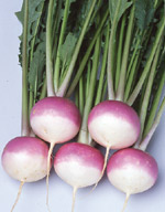 925403_p.jpg