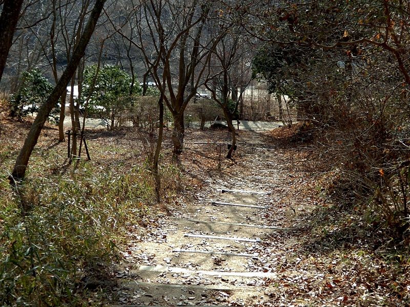 長谷池へ3