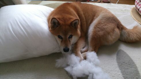 rblog-20140622112803-01.jpg