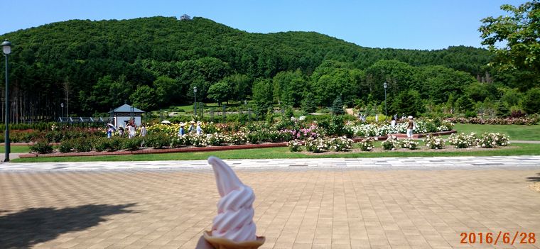 ６／２８岩見沢バラ公園にて.jpg