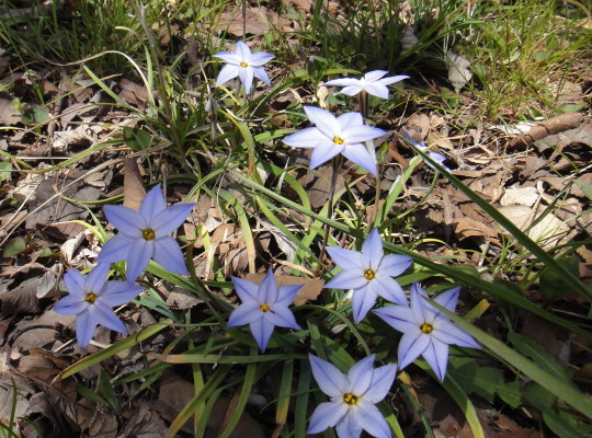 150331-104.jpg