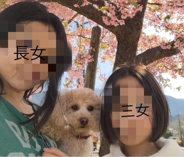 rblog-20160402144923-01.jpg