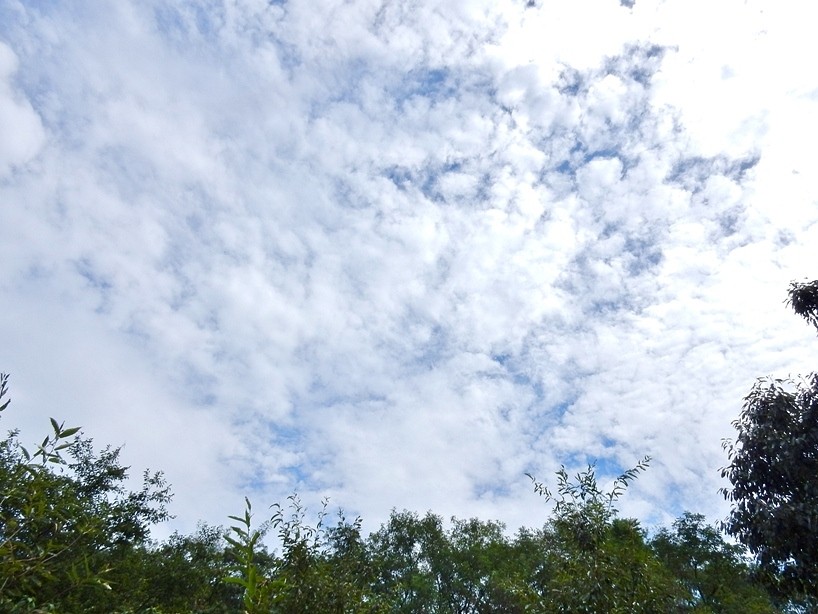 空4.JPG