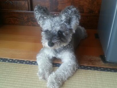 rblog-20141007230210-00.jpg