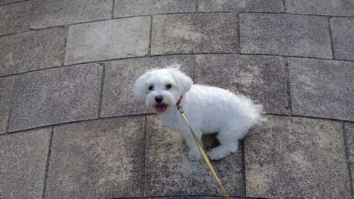 よっこいしょ＾＾