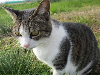 IMG_4407ss.jpg