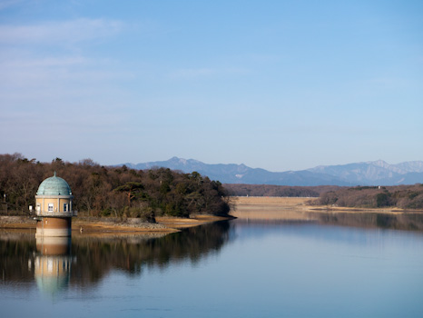 P1010239-1.jpg