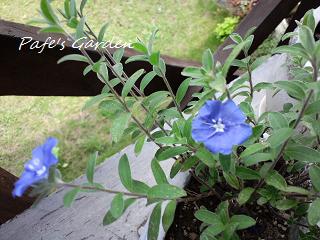 CA3G3165.jpg