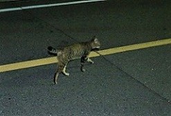 5DA_4743-19.jpg