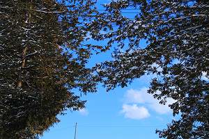 IMG_9978.jpg