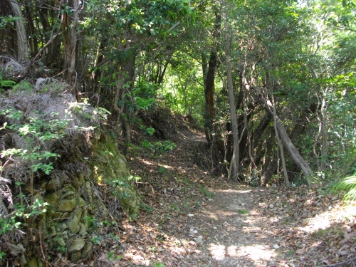 敷山城土塁 (500x375).jpg