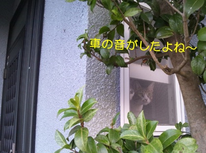 20120811_3.jpg