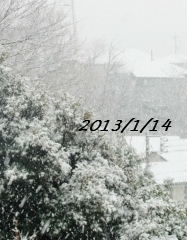 2013_01140009.jpg