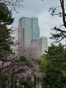aoyamaboti 