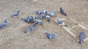 20150819_121049.jpg