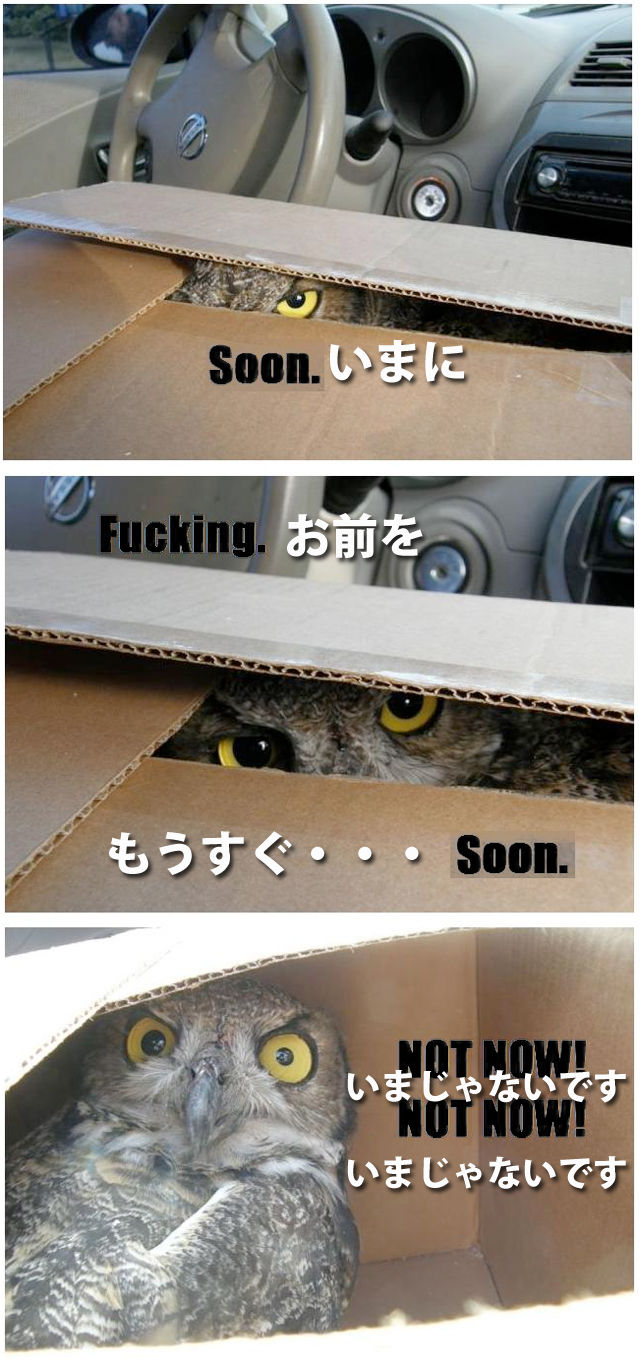 hukurou.jpeg