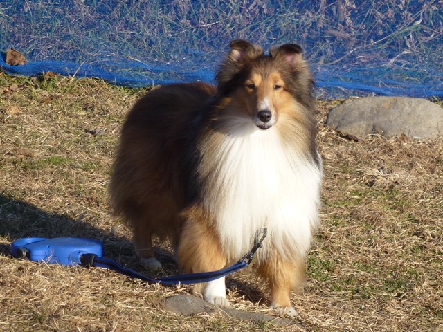 P1020048 - コピー.JPG