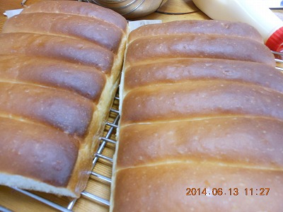 DSCN2257.jpg