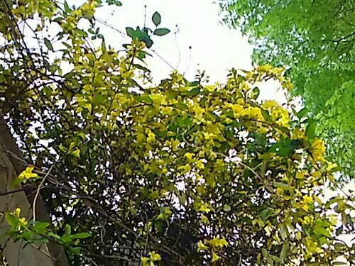 rblog-20170423111910-08.jpg