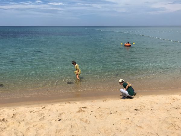 rblog-20170822141656-01.jpg