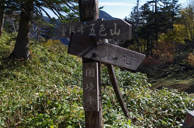 IMGP1421.JPG