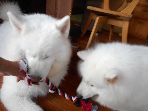 DSCN0557.JPG