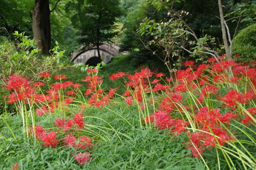 小石川後楽園