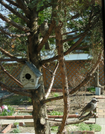 2016-05-08niwa.JPG